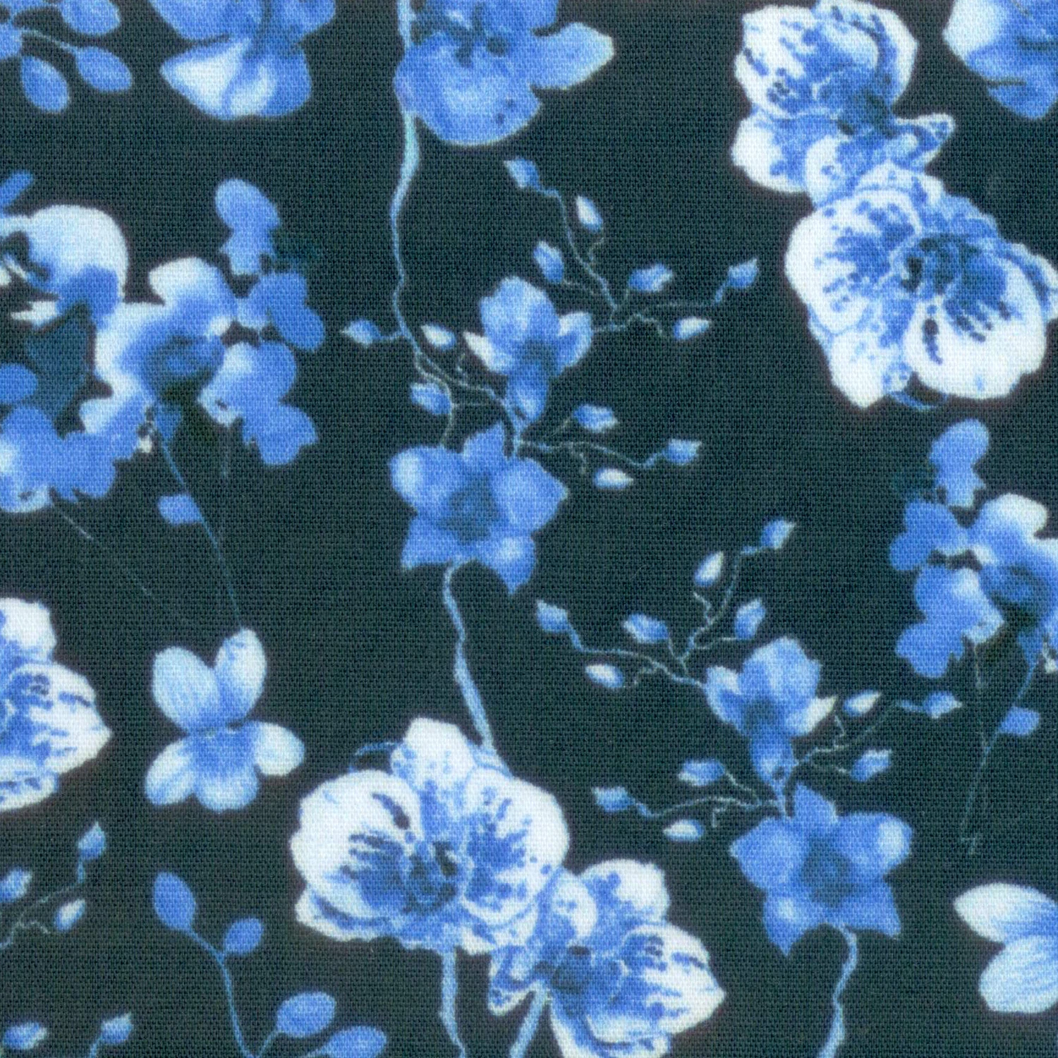 Dark Flower